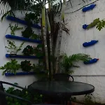 Volunteer Hostel Cartagena By Fem