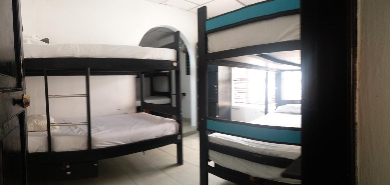 Hostel Volunteer By Fem